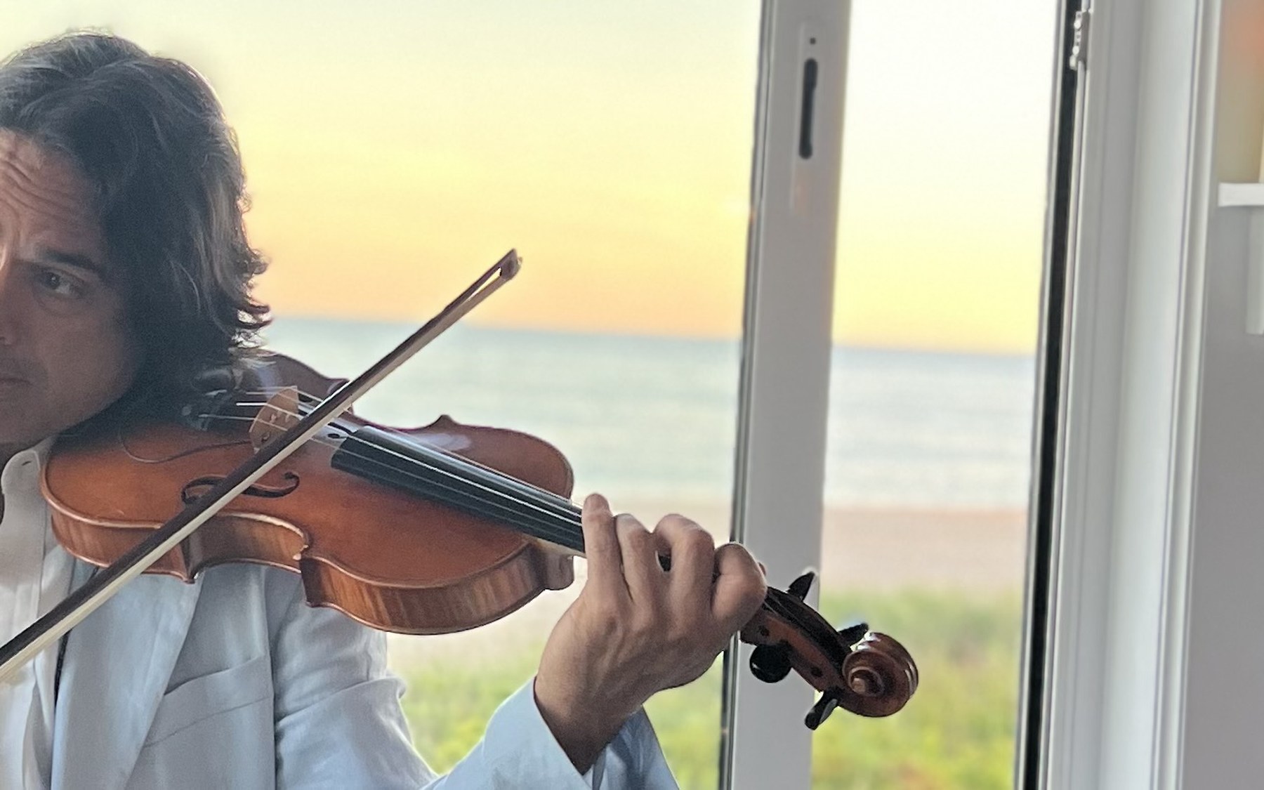 Violinist